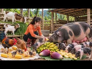 Build Farm Alone Daily Life With Pigs Chickens Goats on Her