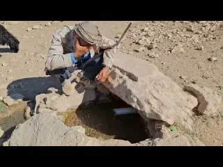 Iran nomadic life Jahangir s journey to the desert to graze