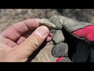 Encontré la PLATA Perdida de ANTIGUOS Habitantes de una