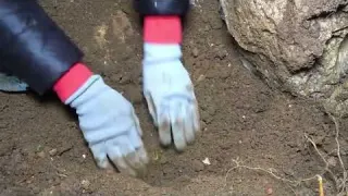The boy hunted for treasure in the cave and dug out the