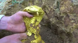 When searching for treasure in the jungle he was excited to
