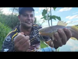 Pescaria de bagre Rio Pardo SP