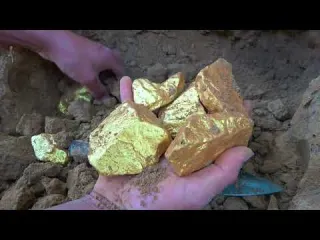 Digging in Florida for Artifacts Very Rare Occasion