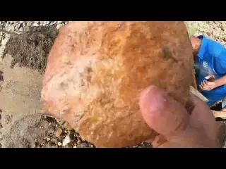 The Secret Gold Vein Hidden Beneath Ancient Rock gold