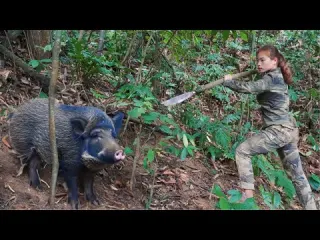 Detect wild boar tracks quickly create traps to catch wild