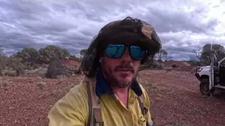 Gold Prospecting Western Australia Chunky Gold Nuggets
