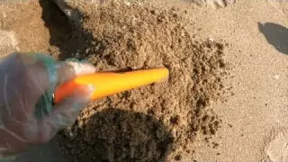 お宝GET オフシーズンの海水浴場で宝探しした結果 トレジャーハンター 金属探知機