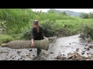Building a system of traps to catch stream fish natural