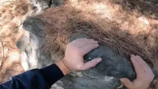 Define Kasası Horonsan la Kapatılmış Açtım
