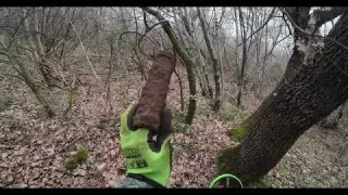 Il Carso Nascondeva TUTTO QUESTO Scoperte Epiche Prima