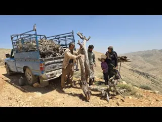 Suffering and love in the heart of Zagros a nomadic man and