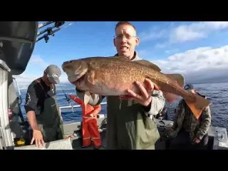 Catching 1200 lbs 544 kg of Fish and Exploring a WWII