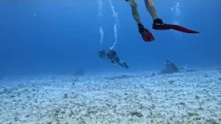 Scuba 507 13 Diving Cozumel