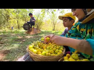 Traditional Cooking Preserving Food for Winter Iranian