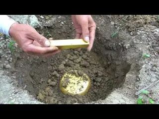 The journey of treasure hunting reveals the joy of
