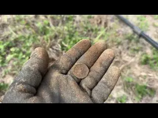 Metal Detecting Old Crossroad in Czechia From Austro