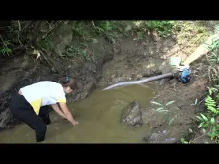 Hunting Wild Fish Modern Technology Catch Fish Pump Fishing
