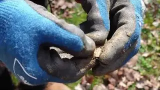 Un trésor dans votre jardin Le Moulin de Jean Marie