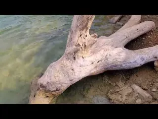 Epic gold mining digging the gold nuggets under stone of