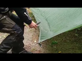 Camping in Heavy Rain Under a Broken Tree Guest Dogs at the