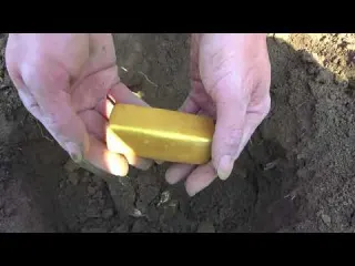 The gold like reliable metal detector led me to find the