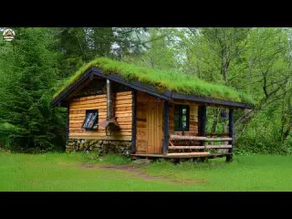 From Scrap Wood to Masterpiece Man Builds Stunning Forest