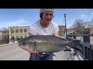 Catching Giant Fish in DOWNTOWN CITY Unexpected Catch