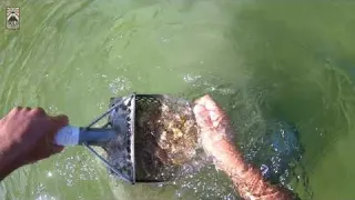 BUSCA no MAIOR LAGO do JAPÃO 金属探知機 Metal Detector