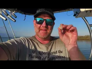 Permission Granted to Treasure Hunt a Private Island