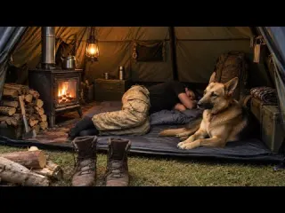 Days in the Wild with My Dog Bushcraft Camping