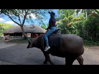 ASÍ ESTA VIÑALES CUBA 2025
