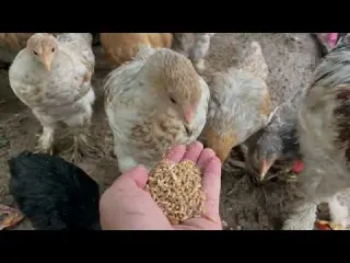 YAĞMURLU HAVADA İNANILMAZ LEZZETLİ KÖY YEMEĞİ SICAK SOBALI