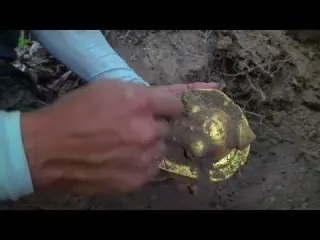 Hunting Treasures Beneath the Caribbean Sea