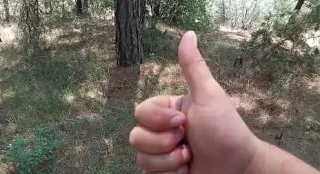 Ormanda Define Ararken Medeni Metallar Çıktı