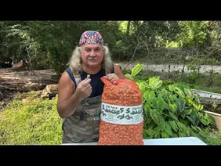 Louisiana Style Boiled PEANUTS