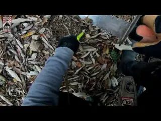 LINDO KOGAI MELHOR que PRAIA 金属探知機 Metal Detector