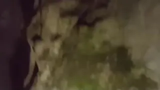 Define aramaya Mağaraya girdik Sonra Videoda Farketiklerime