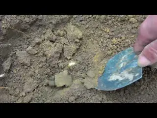 Looking for treasure in the wild accidentally finding