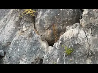 Bu Kayalık Bölgede İnanılmaz Bir Şey Buldum
