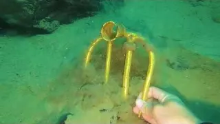 Lost Treasure Dual Search for Gold Beads and Metal Detectors