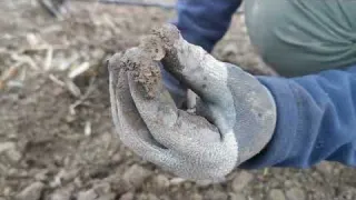 SONDELN am Wachturm Trümmerfeld Schatzsuche Metalldetektor