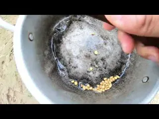 Shocking Gold Discovery in a Remote Area No One Knew gold
