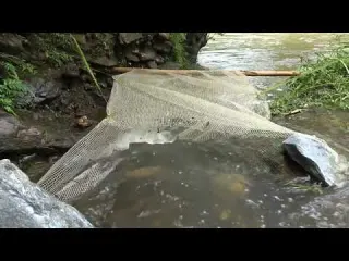 Fishing technique Create a fish trap net system on a small