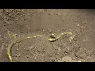 The metal detector helped me end my treasure hunt and find