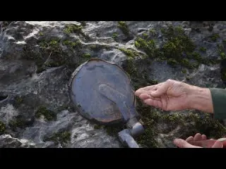 Finding gold up high on the river bank