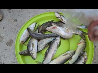 Nomadic life collecting sand and fishing by the river by