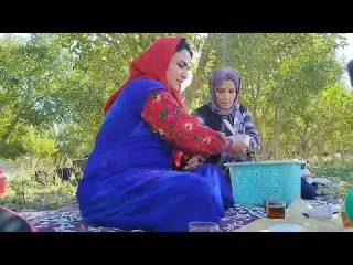 Autumn Apple Harvest in Iran Village Life Wood Fired