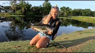 Big Bass Life Updates Let s Talk