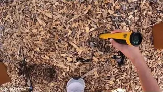 Metal Detecting Tot Lot
