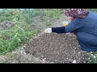 HATAY DA KÖY HAYATI BAHÇE VİDEOSU